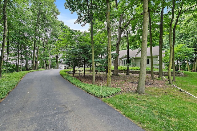 8N644 Wood Bridge Ln, Elgin, IL 60124 - photo 48