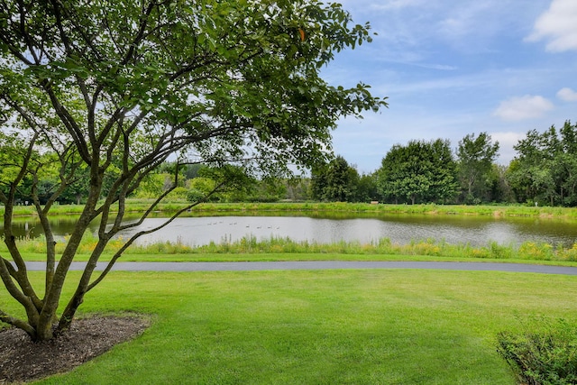 772 Panorama Ct, Aurora, IL 60502 - photo 19