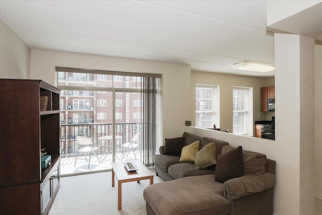 656 Pearson St Unit 505C, Des Plaines, IL 60016 - photo 6