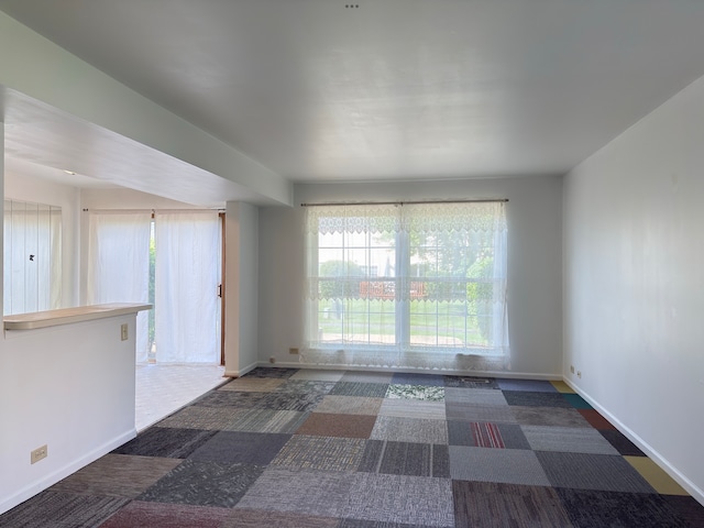 1682 College Green Ave, Elgin, IL 60123 - photo 4