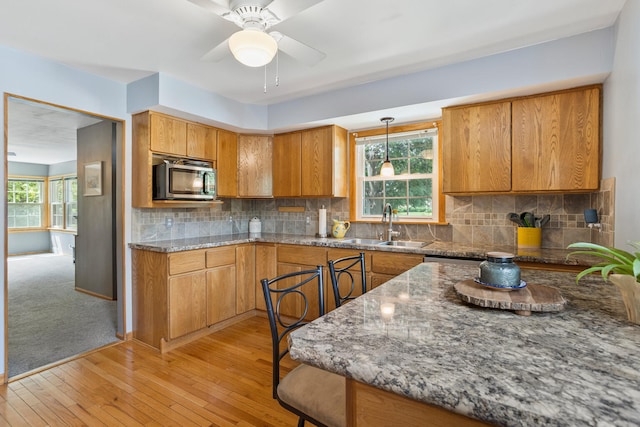 903 W Clark St, Champaign, IL 61821 - photo 11