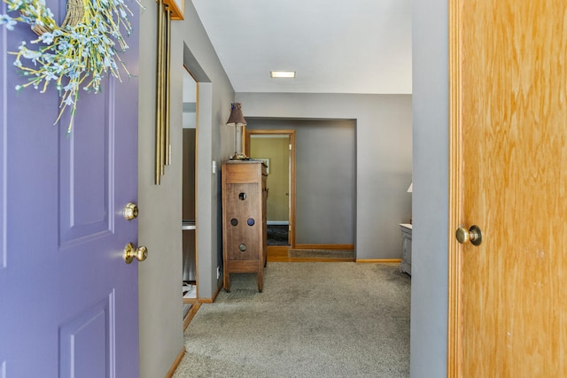 903 W Clark St, Champaign, IL 61821 - photo 6