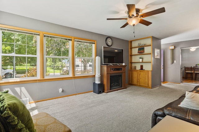 903 W Clark St, Champaign, IL 61821 - photo 10