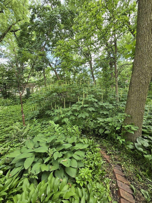 66 S 2nd Ave, Lombard, IL 60148 - photo 30