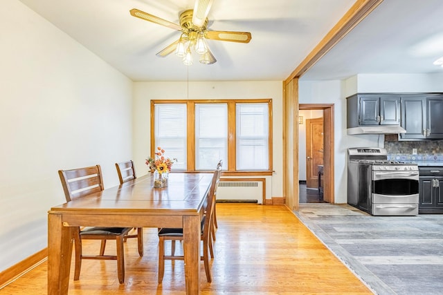 1617 Maple Ave, Berwyn, IL 60402 - photo 6