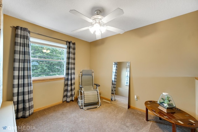 102 Terrace Ct, Bourbonnais, IL 60914 - photo 17