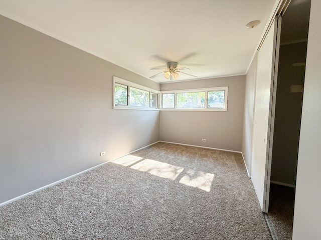 917 Bristol Ave, Westchester, IL 60154 - photo 9