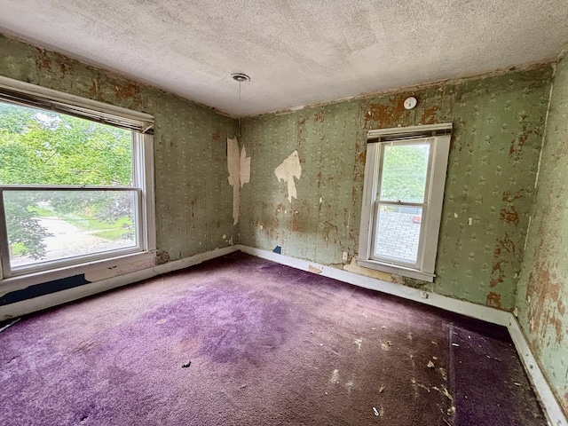 412 W Madison St, Belvidere, IL 61008 - photo 20
