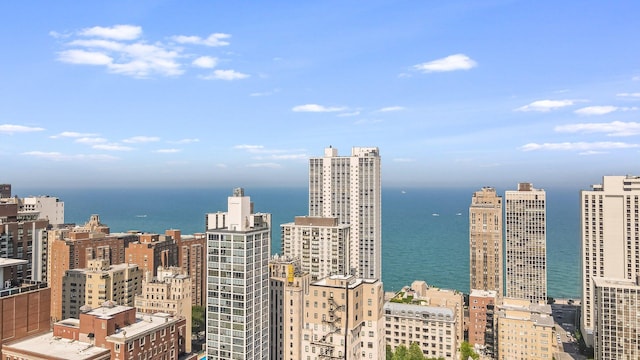 1235 N Dearborn St Unit Ch, Chicago, IL 60610 - photo 27