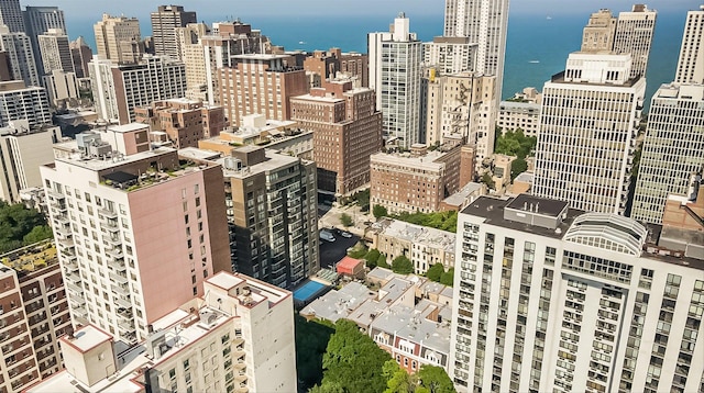 1235 N Dearborn St Unit Ch, Chicago, IL 60610 - photo 28