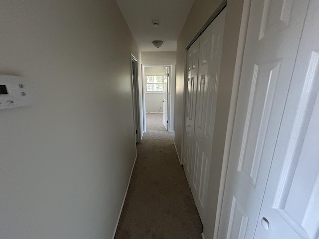 537 Nathan Rd, University Park, IL 60484 - photo 7