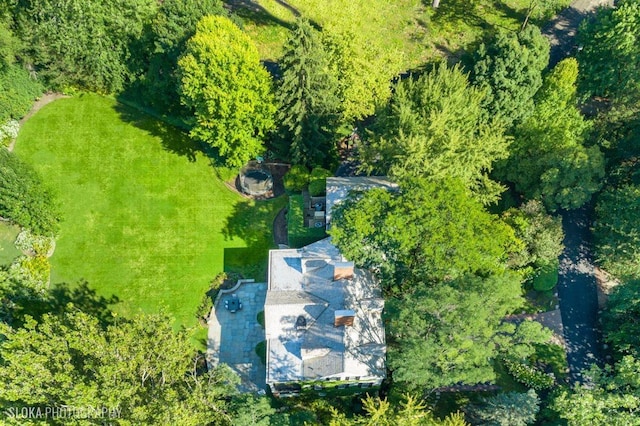 62 Woodley Rd, Winnetka, IL 60093 - photo 46