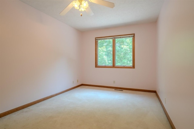 14 Bent Tree Ln, Towanda, IL 61776 - photo 29