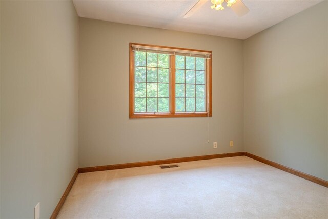 14 Bent Tree Ln, Towanda, IL 61776 - photo 30