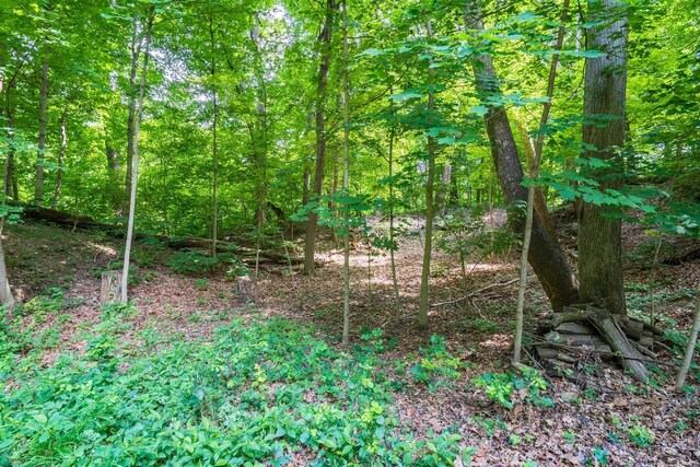 14 Bent Tree Ln, Towanda, IL 61776 - photo 46