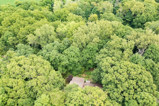 14 Bent Tree Ln, Towanda, IL 61776 - photo 49