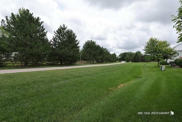 2800 Cattail Ct Unit C, Wauconda, IL 60084 - photo 16