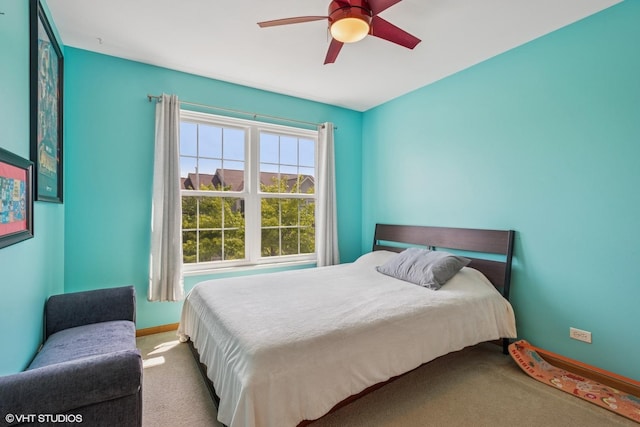 313 Robin Glen Ln, South Elgin, IL 60177 - photo 14