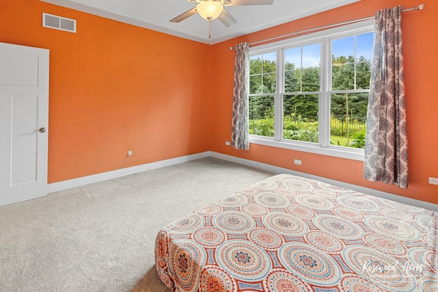 1224 Game Trl, Bourbonnais, IL 60914 - photo 11