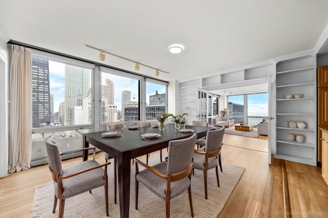 880 N Lake Shore Dr Unit 25Ef, Chicago, IL 60611 - photo 22