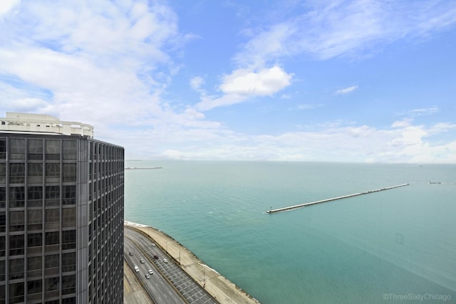 880 N Lake Shore Dr Unit 25Ef, Chicago, IL 60611 - photo 33