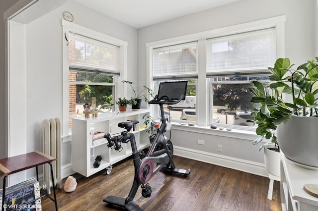 431 Wisconsin Ave Unit 1, Oak Park, IL 60302 - photo 4
