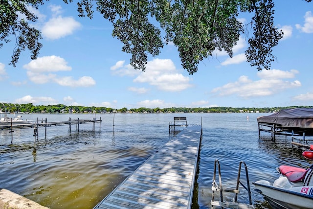 50 N Lake Ave, Fox Lake, IL 60020 - photo 21
