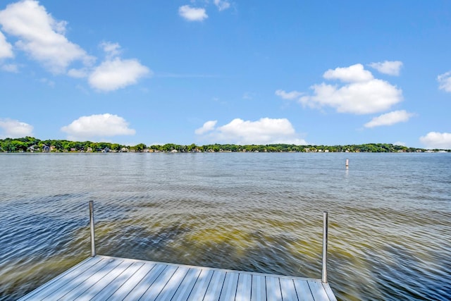 50 N Lake Ave, Fox Lake, IL 60020 - photo 22