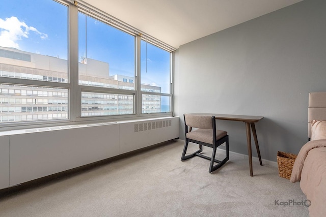 4800 S Chicago Beach Dr Unit 2405S, Chicago, IL 60615 - photo 12