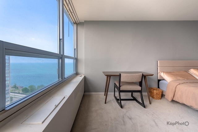 4800 S Chicago Beach Dr Unit 2405S, Chicago, IL 60615 - photo 14
