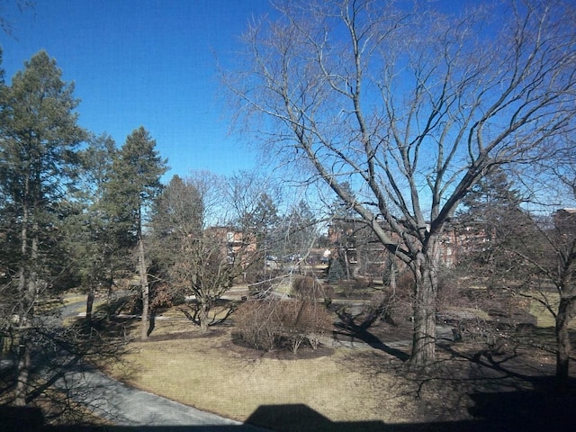1227 S Old Wilke Rd Unit 306, Arlington Heights, IL 60005 - photo 17