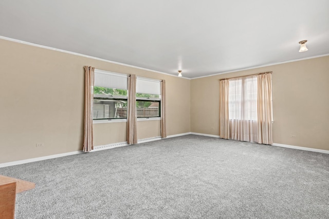 216 S Michigan Ave, Addison, IL 60101 - photo 11