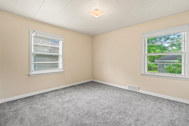 216 S Michigan Ave, Addison, IL 60101 - photo 20