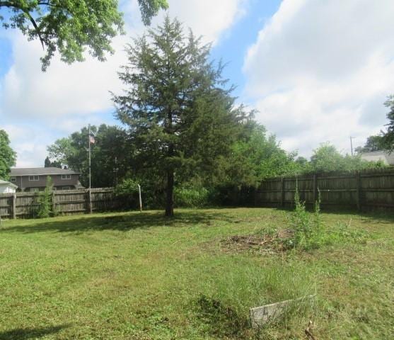 211 S Lafayette St, Byron, IL 61010 - photo 26