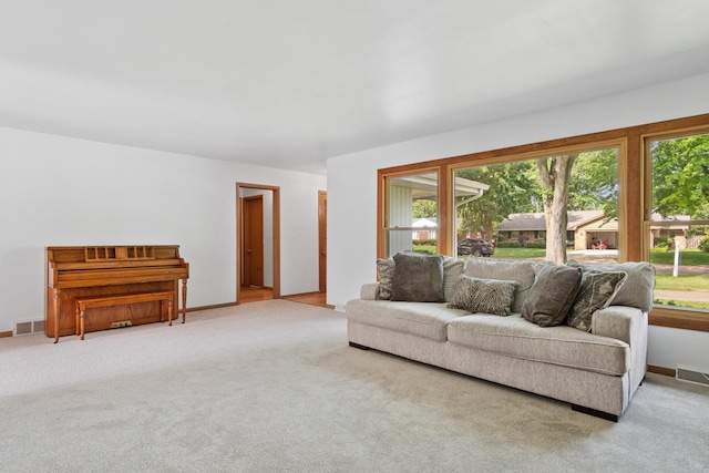 234 Alschuler Dr, Aurora, IL 60506 - photo 6