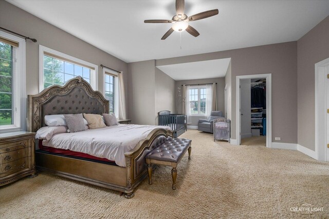 1211 Coyote Trl, Hampshire, IL 60140 - photo 15