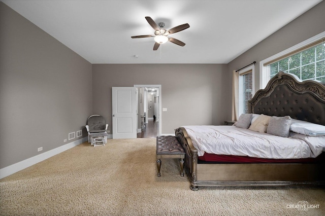 1211 Coyote Trl, Hampshire, IL 60140 - photo 16