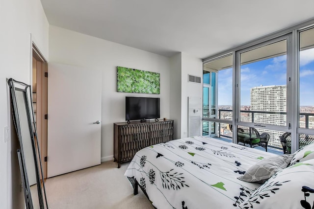 1629 S Prairie Ave Unit 2507, Chicago, IL 60616 - photo 9