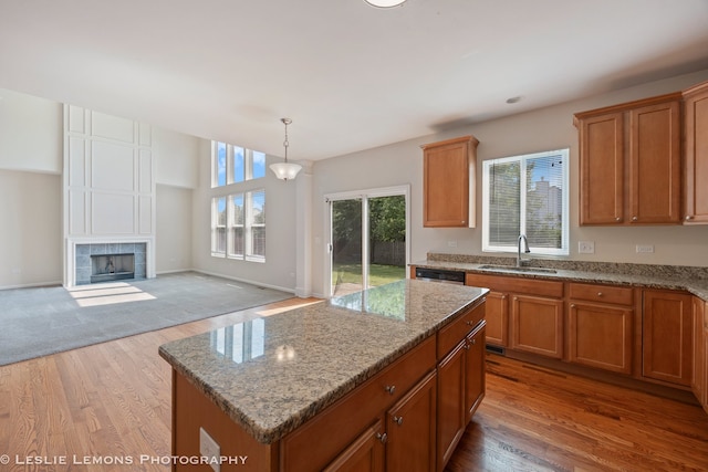 366 Tiger St, Bolingbrook, IL 60490 - photo 11