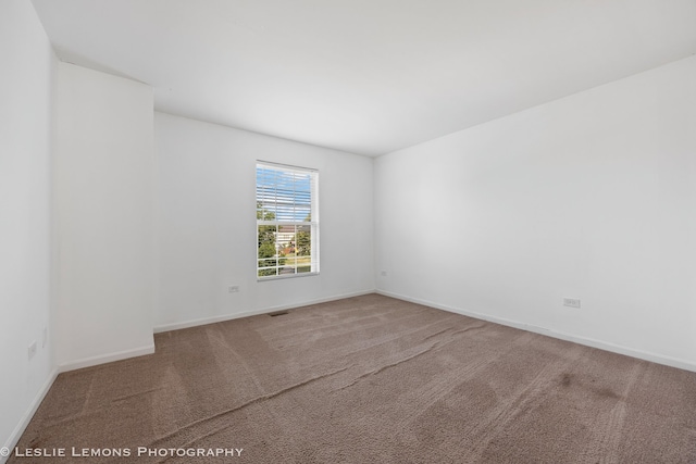 366 Tiger St, Bolingbrook, IL 60490 - photo 19