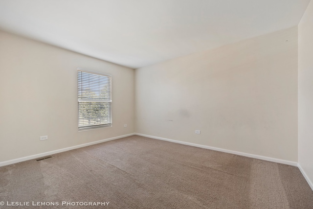 366 Tiger St, Bolingbrook, IL 60490 - photo 20