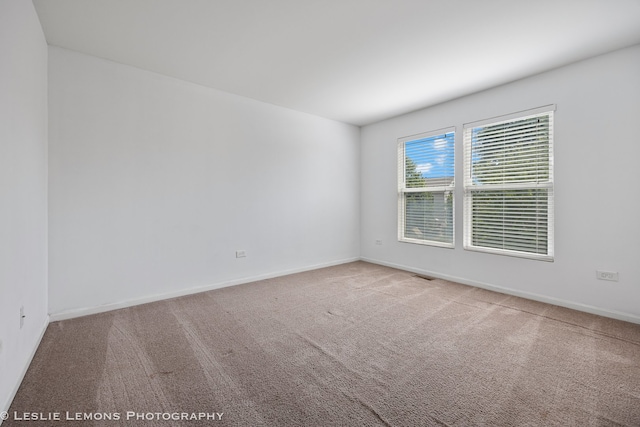 366 Tiger St, Bolingbrook, IL 60490 - photo 22
