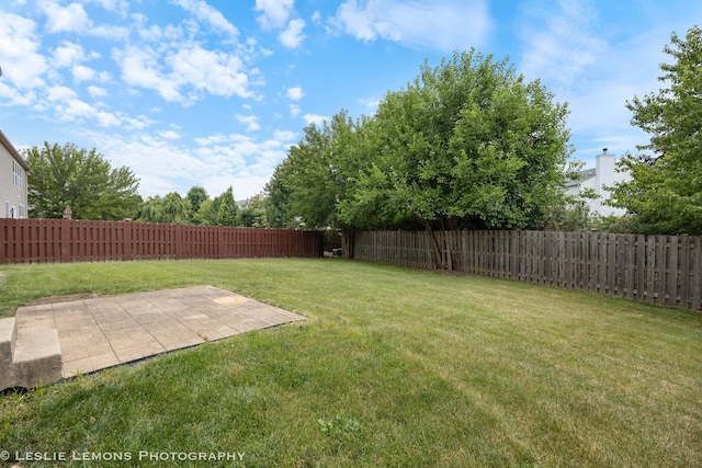 366 Tiger St, Bolingbrook, IL 60490 - photo 24