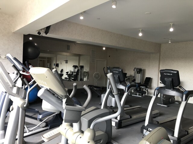 1903 N Lincoln Ave Unit 116, Urbana, IL 61801 - photo 14