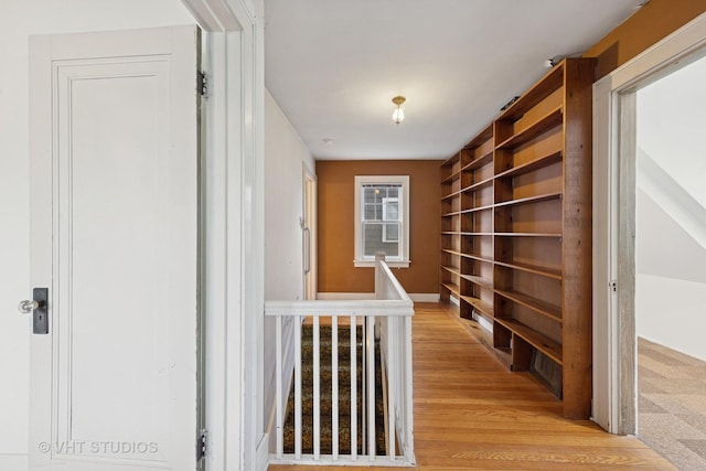 4941 Montgomery Ave, Downers Grove, IL 60515 - photo 10