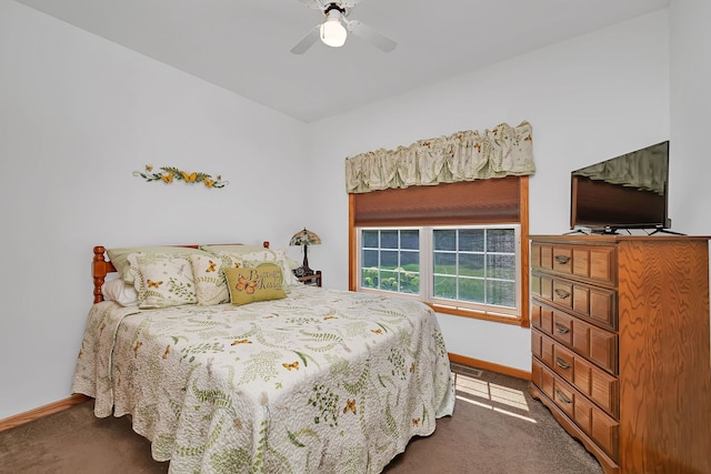 24255 Schubert Ln, Shorewood, IL 60404 - photo 20