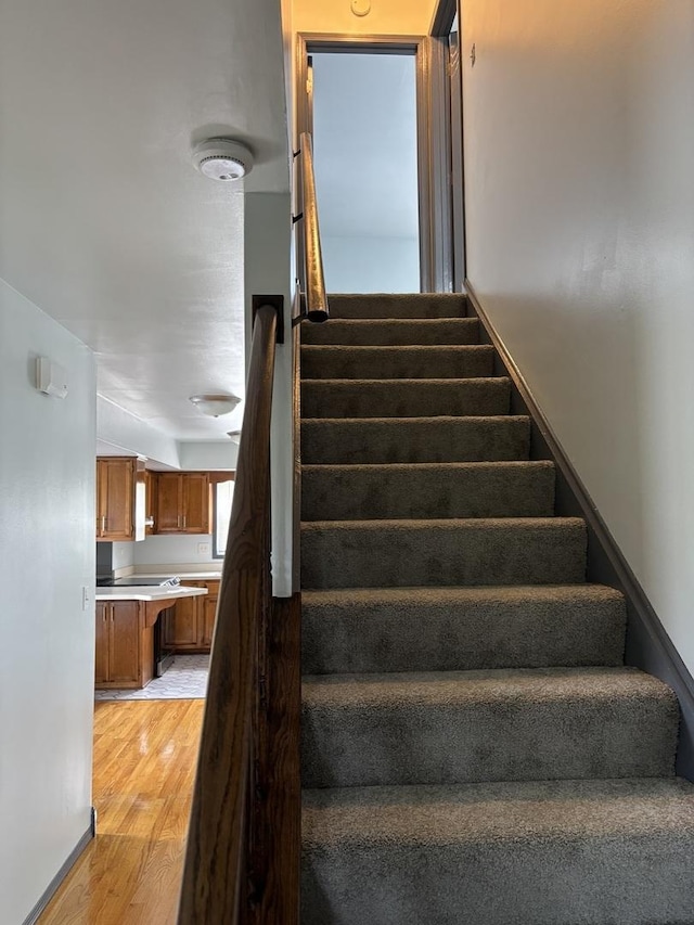 1026 Patricia Ln Unit 1026, Crete, IL 60417 - photo 10
