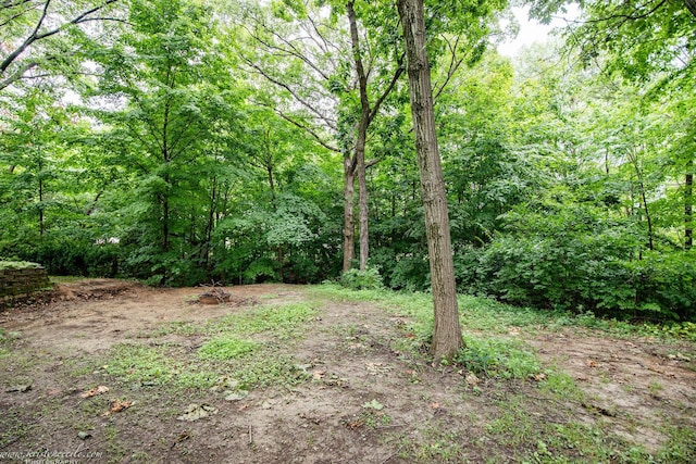 5 Inverness Dr, Bourbonnais, IL 60914 - photo 71