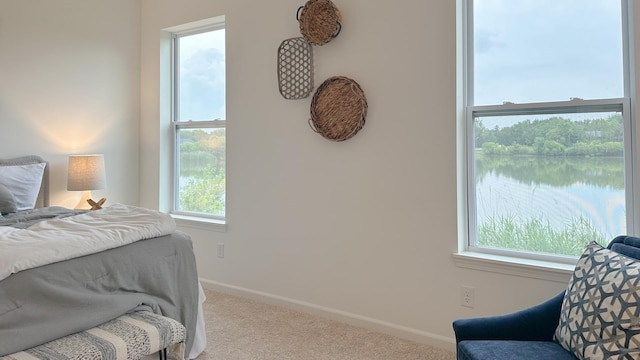 666 Savanna Dr, Hampshire, IL 60140 - photo 25