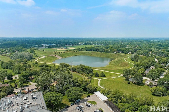 1 Renaissance Pl Unit 1119, Palatine, IL 60067 - photo 3
